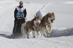 Kandersteg 2013